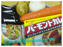 แกงกระหรี่ญี่ปุ่น (สูตรโยเกิร์ตและช็อคโกแล็ต)