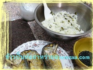 วิธีทำข้าวปั้นห่อสาหร่ายOnigiri  (ไส้ปลาทูนึ่งแบบลดไขมัน)ขั้นตอนที่ 01